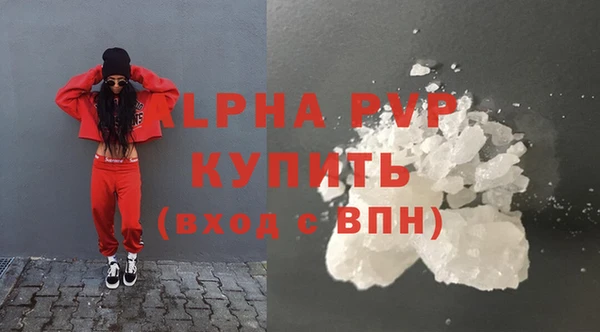 хмурый Абаза