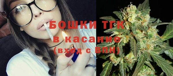 хмурый Абаза