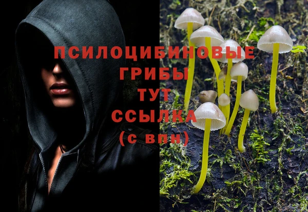 стафф Алексеевка