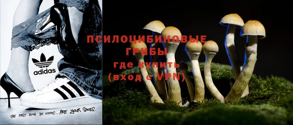 хмурый Абаза